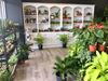 Picture of The Flower Bar at Lou's