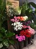 Picture of The Flower Bar at Lou's