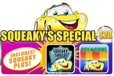 Picture of Squeaky Shine Car Wash