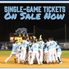 Picture of Wilmington Sharks - 2023 Reserved Seat Flex Plan