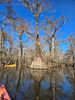 Picture of Kayak Carolina