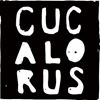 Picture of Cucalorus Film Festival 2026